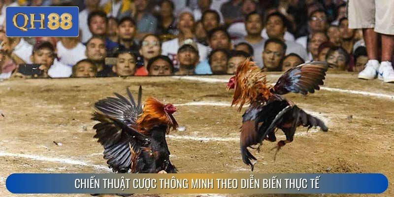 Chiến thuật cược thông minh theo diễn biến thực tế