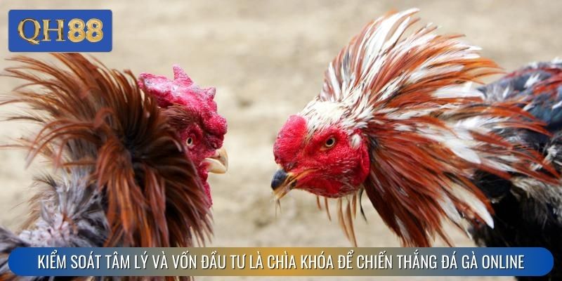 Kiểm soát tâm lý và vốn đầu tư là chìa khóa để chiến thắng đá gà online