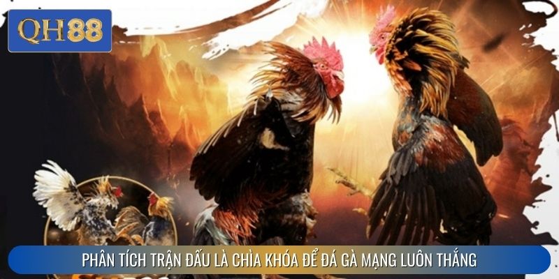 Phân tích trận đấu là chìa khóa để đá gà mạng luôn thắng