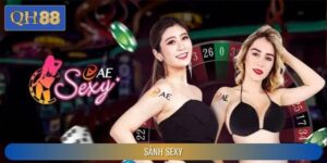 Sảnh Sexy QH88 – Không Gian Giải Trí Đỉnh Cao Dành Cho Game Thủ