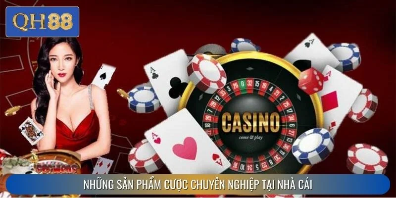 Những sản phẩm cược chuyên nghiệp tại nhà cái