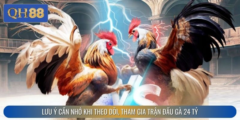 Lưu ý cần nhớ khi theo dõi, tham gia trận đấu gà 24 tỷ
