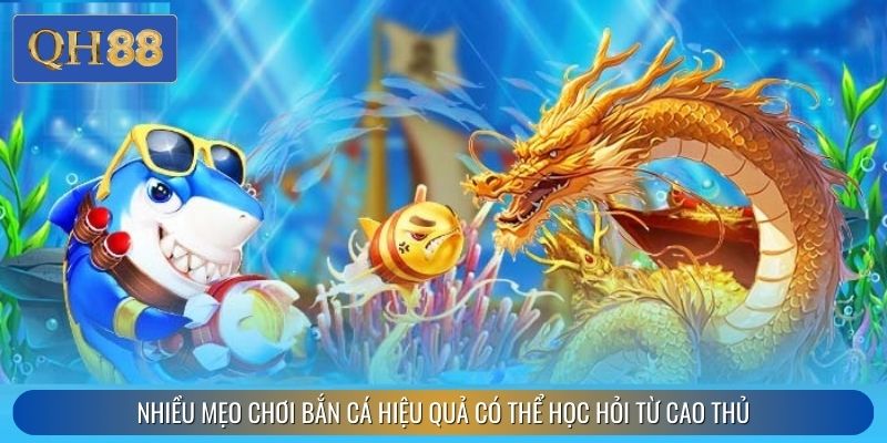 Nhiều mẹo chơi bắn cá hiệu quả có thể học hỏi từ cao thủ
