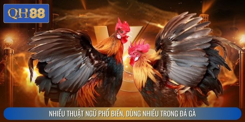 Nhiều thuật ngữ phổ biến, dùng nhiều trong đá gà