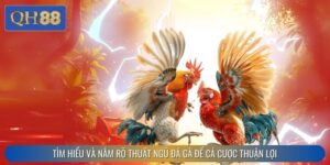 Thuật Ngữ Đá Gà – Hiểu Rõ Các Khái Niệm Nhanh Với QH88