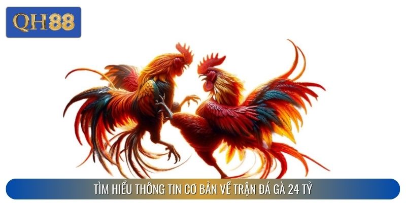 Tìm hiểu thông tin cơ bản về trận đá gà 24 tỷ