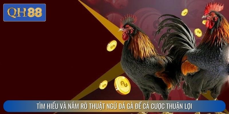 Tìm hiểu và nắm rõ thuật ngữ đá gà để cá cược thuận lợi