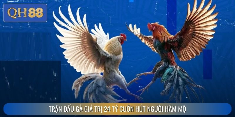 Trận đấu gà giá trị 24 tỷ cuốn hút người hâm mộ