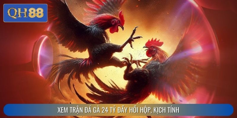 Xem trận đá gà 24 tỷ đầy hồi hộp, kịch tính