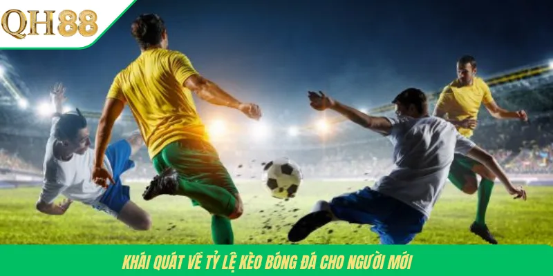 Khái quát về tỷ lệ kèo bóng đá cho người mới