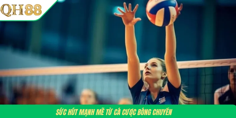 Sức hút mạnh mẽ từ cá cược bóng chuyền