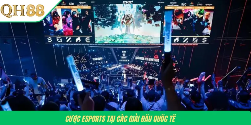 Cược Esports tại các giải đấu quốc tế